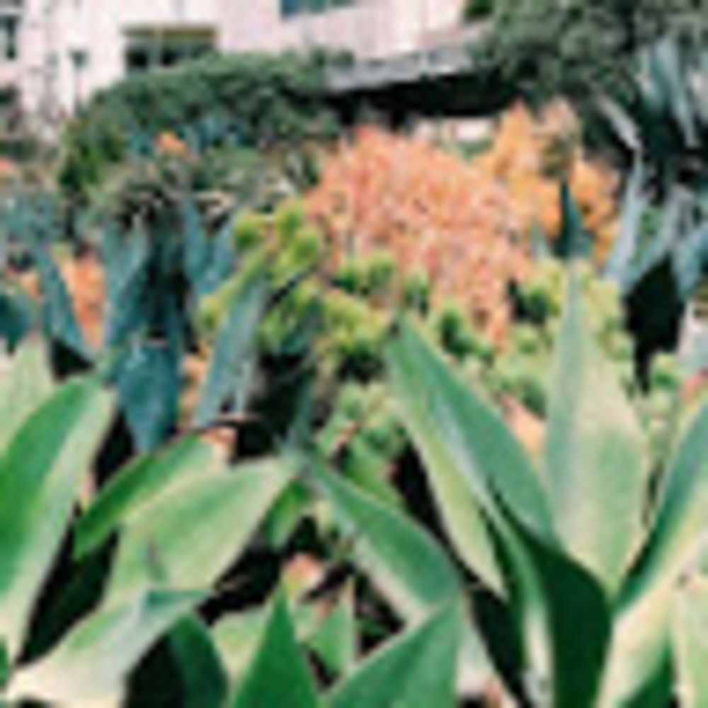 Meet your Posher, Juliana